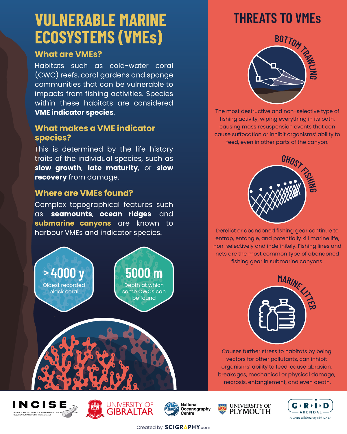 Submarine Canyon Network poster