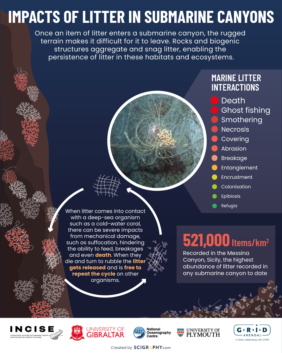 Submarine Canyon Network poster